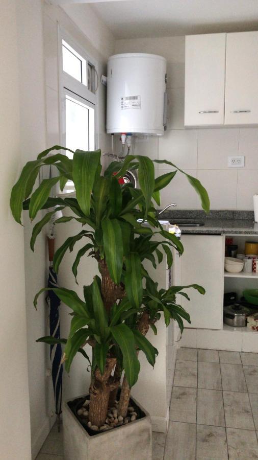 11 De Septiembre 2140 Departamento Barrancas De Belgrano *